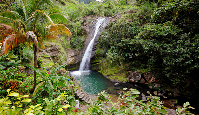 Concord Falls Grenada by Paul Crask
