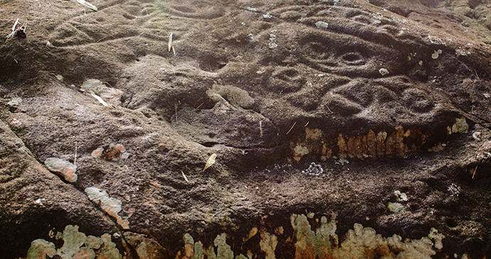 Petroglyphs at Mt Rich by Paul Crask