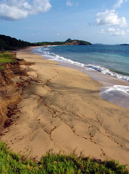 Bathway Beach Grenada by Celia Sorhaindo