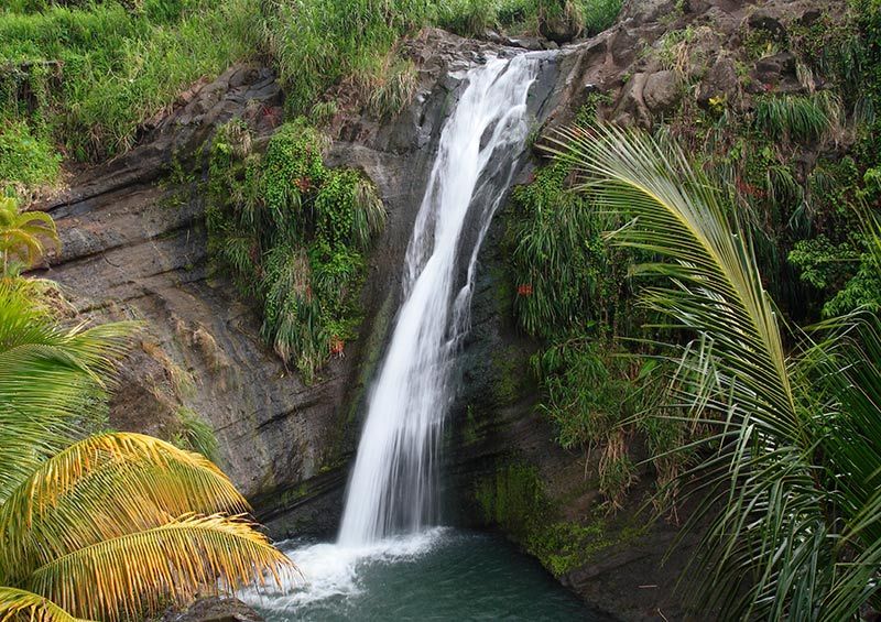 Concord Falls, Grenada by Celia Sorhaindo