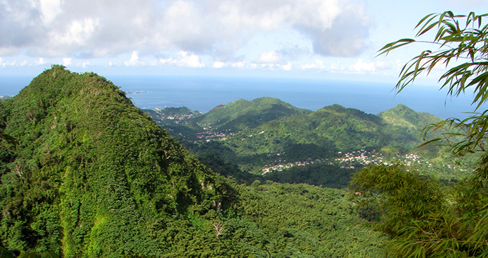 Grand Etang National Park, Grenada by Paul Crask