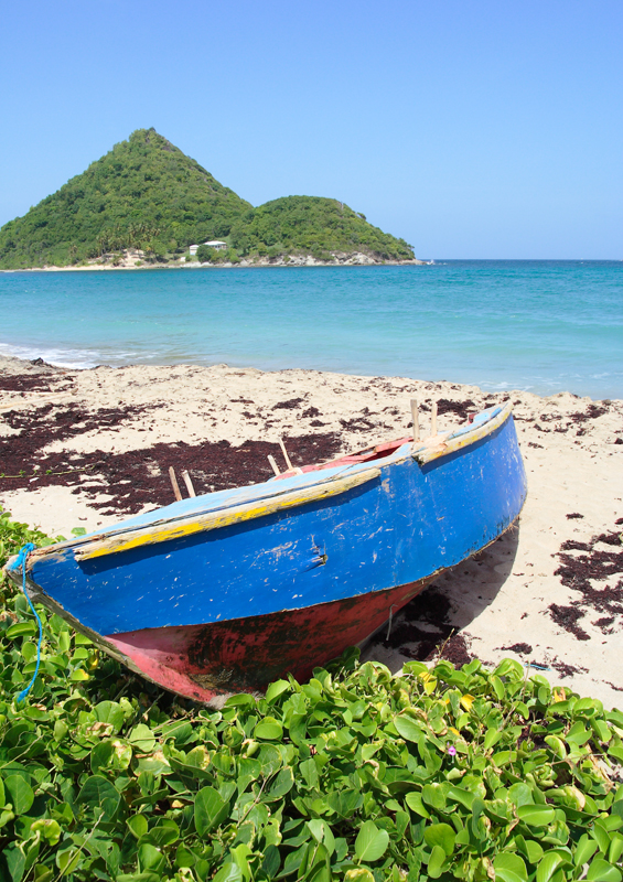 Levera Beach, Grenada © Celia Sorhaindo Levera Beach, Grenada by Celia Sorhaindo