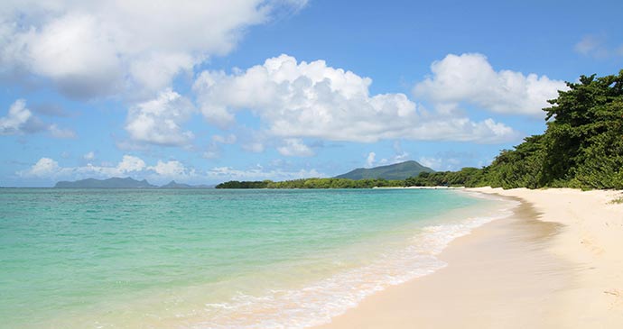 Paradise Beach Grenada by Celia Sorhaindo