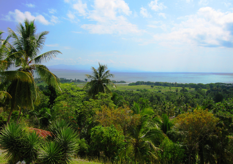 A view of the Haitian landscape, Hispaniola, Haiti by Michelle Walz Eriksson, Wikipedia