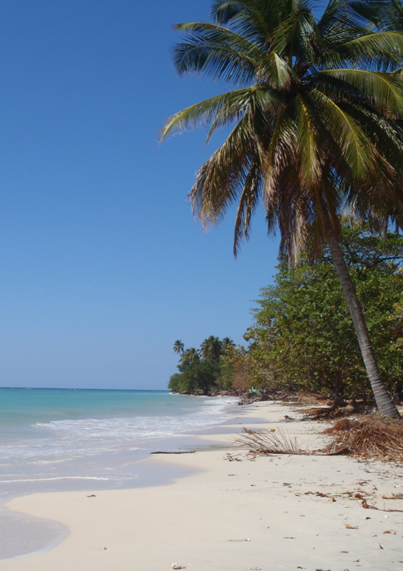 Beach at Port Salut, Haiti by Paul Clammer