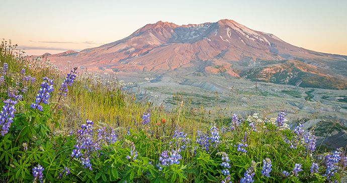 Mount St Helens Coast Starlight Train USA Roman-Khomlyak Shutterstock