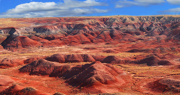 Painted Desert Arizona USA by David P. Smith, Shutterstock
