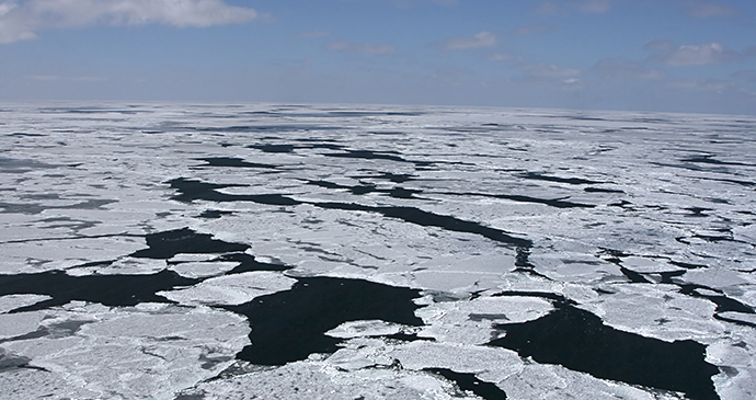 Pack ice Canada The Arctic by TravelMediaProductions Shutterstock