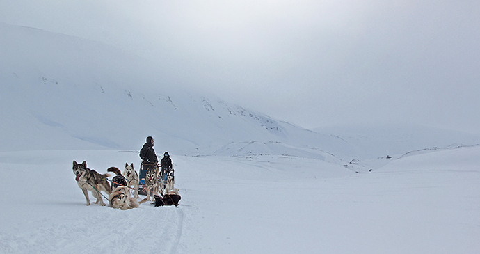 Dog sledging, Svalbard by Marcela Cardenas, www.nordnorge.com