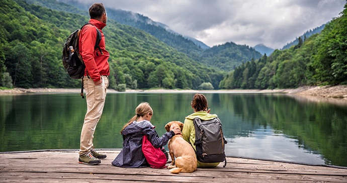 lake Kidding Around by Zivica Kerkez Shutterstock