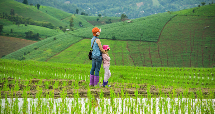 rice terraces Thailand Kidding Around by oneSHUTTER oneMEMORY, Shutterstock