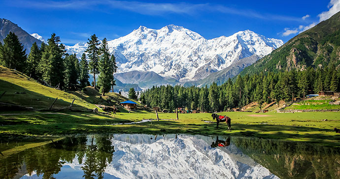 Fairy Meadows Pakistan by Witthawas_Siri, Shutterstock