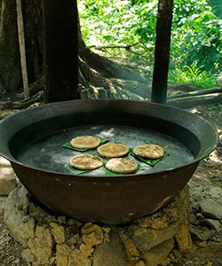 Fond Latisab Creole Park © Saint Lucia Tourist Board