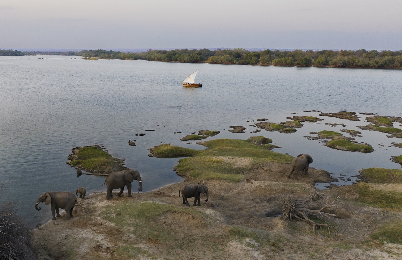Hwange National Park Zimbabwe by Jenman African Safaris