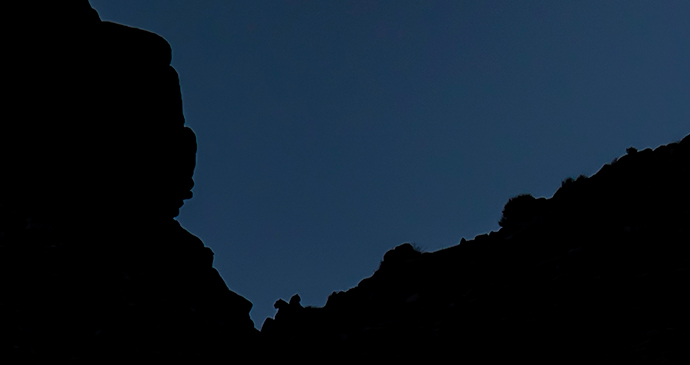 Two Snow Leopards in Ladakh, India © Paul Goldstein