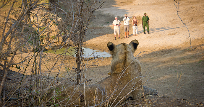 Walking safari in Zambia © Zambia Tourism
