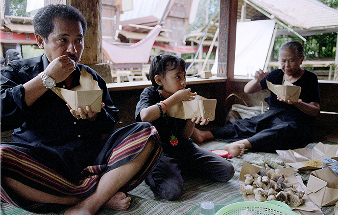 Tana Toraja Sulawesi Indonesia