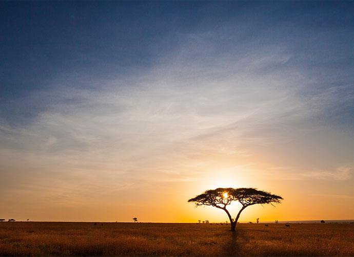 Sunset Serengeti Tanzania by letusgophoto