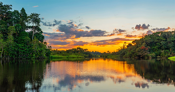 Suriname River SL-Photography, Shutterstock