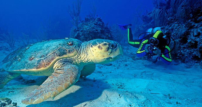 Scuba diving © Saint Lucia Tourist Board
